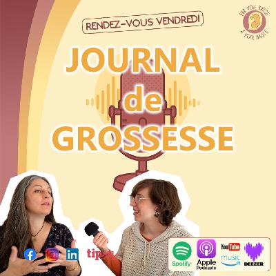 Capsule - Ep 14 - Journal de Grossesse - Nouvel enfant, nouvelle histoire : Réinventer & Accueillir Capsule - Ep 14 - Journal de Grossesse - Nouvel enfant, nouvelle histoire : Réinventer & Accueillir