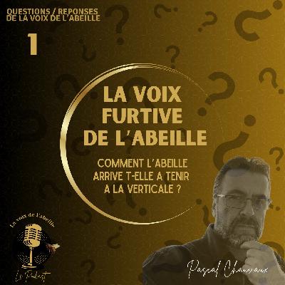 Comment l'abeille tient-elle à la verticale ?