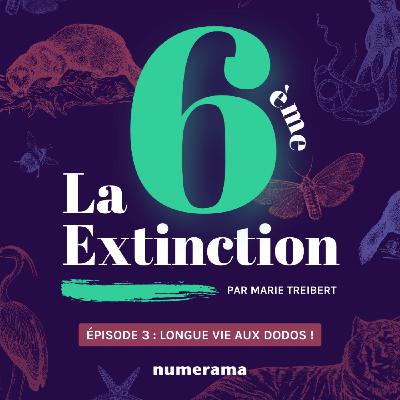 Épisode 3 : Longue vie aux dodos !