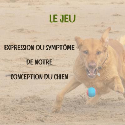 Le jeu : expression ou symptôme de notre conception du chien ?