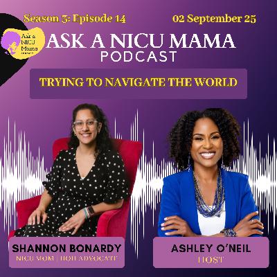 Trying to Navigate the World with Shannon
