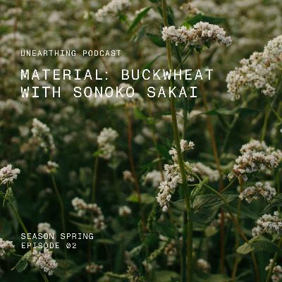 Unearthing Buckwheat with Sonoko Sakai