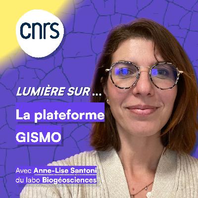 Lumière sur... La plateforme GISMO