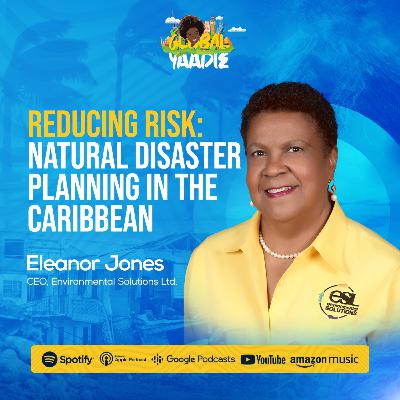 Reducing Risk: Natural Disaster Planning in the Caribbean