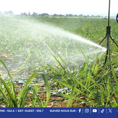 Agriculture : la période de sécheresse entraîne des restrictions d’irrigation dans le Nord