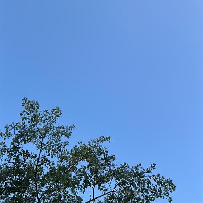 Manifestácia / zákon príťažlivosti Manifestácia / zákon príťažlivosti