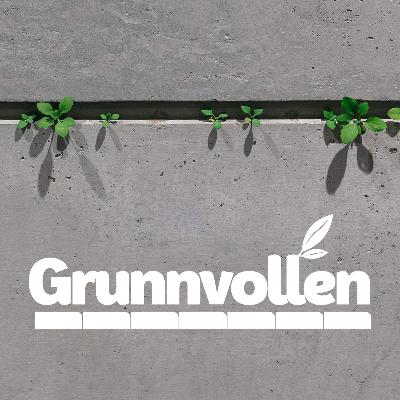 Grunnvollen #8 Evig dom