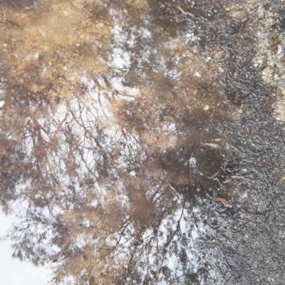 Part 5 - my reading of An Immanent Metaphysics by Forrest Landry