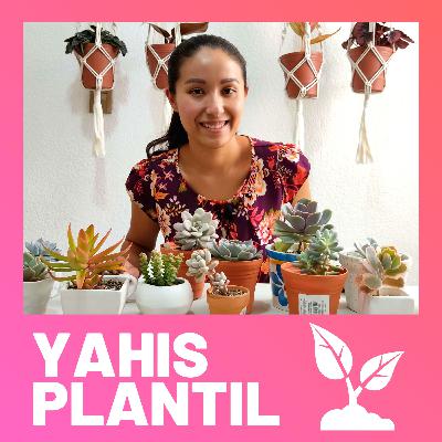 03 Riego | Preguntas frecuentes