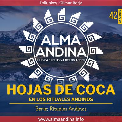 42-25. LAS HOJAS DE COCA - En los rituales andinos 42-25. LAS HOJAS DE COCA - En los rituales andinos