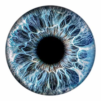 عين الخبير - من أول نظرة عين الخبير - من أول نظرة