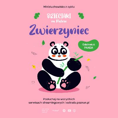 ZWIERZYNIEC: ODC 6 - PANDA
