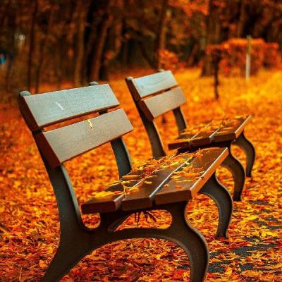 Videojuegos Otoñales, noticias semanales con un poco de Tramadol y Trankimazín