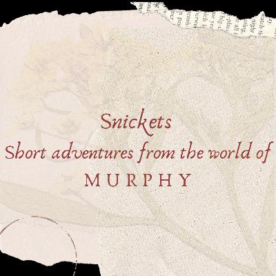 Snicket 3 - Irish Blessing