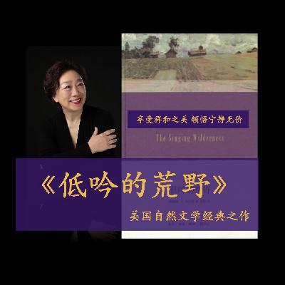 低吟的荒野 | 冬 |《灰狼》（下）