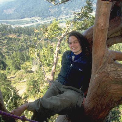Up to the Top and Down Again - from Julia Butterfly Hill and Luna, through Pascale Petit, to me :)