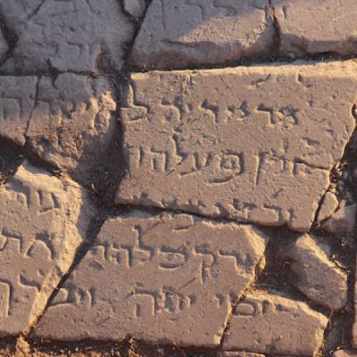 The University of Haifa Discoveries Part 1.