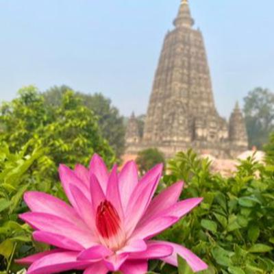 HẠNH PHÚC ĐẾN TỪ SỰ BIẾN MẤT | AJAHN BRAHM | CHƯƠNG 11