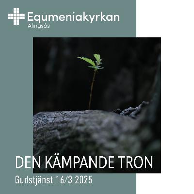 250316 - Den kämpande tron - Peter Lindroos