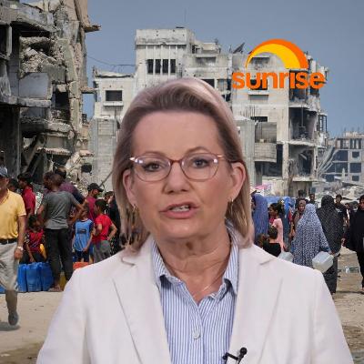 "We will reverse this decision": Sussan Ley on recognising Palestinian statehood "We will reverse this decision": Sussan Ley on recognising Palestinian statehood