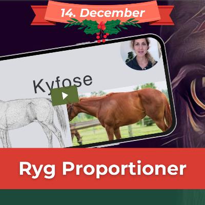 RYG PROPORTIONER (14. dec) Lær selv at forstå din hests ryg