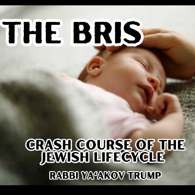 The Bris Mila
