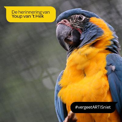 ARTIS vergeet je niet - de herinnering van Youp van 't Hek ARTIS vergeet je niet - de herinnering van Youp van 't Hek