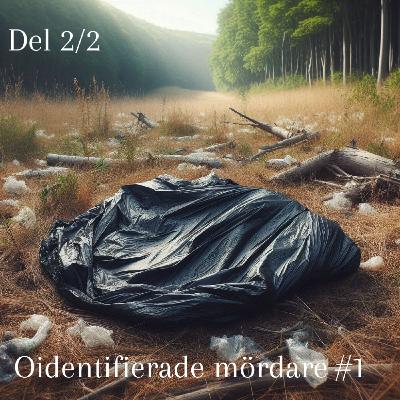 38. Oidentifierade mördare #1 - Del 2/2