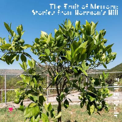 The Fruit of Memory: Stories from Horraon's Hill