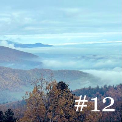 #12 - Hauts et bas de ma boutique en ligne
