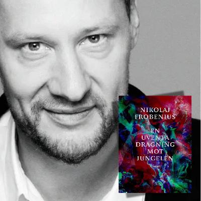 Nikolaj Frobenius │ En psykedelisk roman