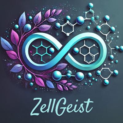 Nebennieren & Nebennierenschwäche - wichtige Anzeichen und Maßnahmen