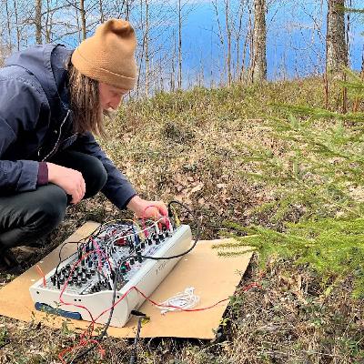 Sjungande växter – och ejdrar som förlorar sina ägg