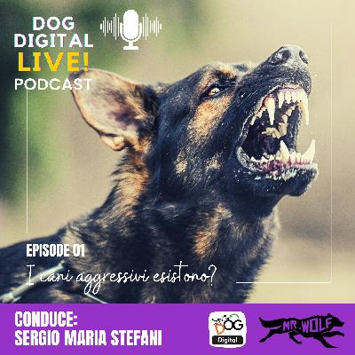 I cani aggressivi esistono? I cani aggressivi esistono?