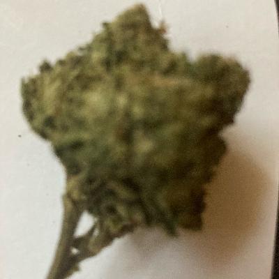 Episode 2 KIDKO Vega in the The Aidio Orphanage Studios Music production by : KIDKO Vega “Feelin Hig