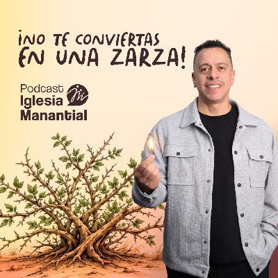 ¡No te conviertas en una zarza! | Pastor David Cañas ¡No te conviertas en una zarza! | Pastor David Cañas