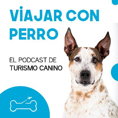 Ep 1. Así empezó todo