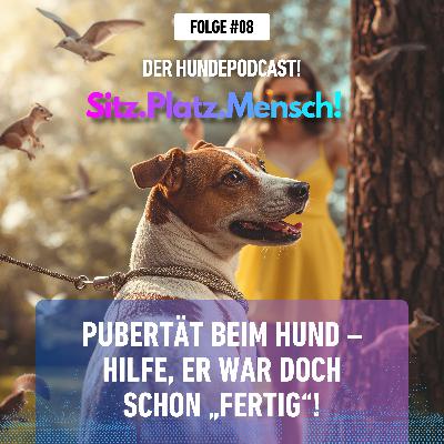 #8 Pubertät beim Hund – Hilfe, er war doch schon „fertig“!