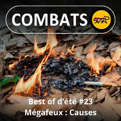 BEST OF D'ÉTÉ #23 : Mégafeux, les causes 2/4
