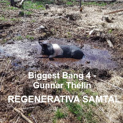 Biggest Bang 4 - Gunnar Thelin