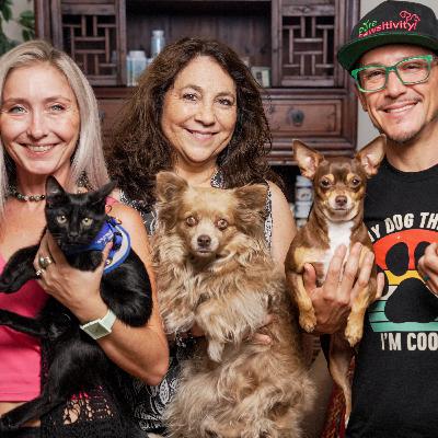 Synergy Between Pure Pawsitivity & Holistic Vet, Dr. Jodie