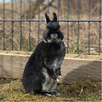 Infos- Wie geht es weiter? -