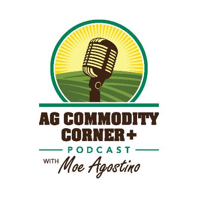 Funds are Long the Grain & Oilseed Complex for the 1st Time Since Feb of 2025! BULLISH PRICES! Funds are Long the Grain & Oilseed Complex for the 1st Time Since Feb of 2025! BULLISH PRICES!