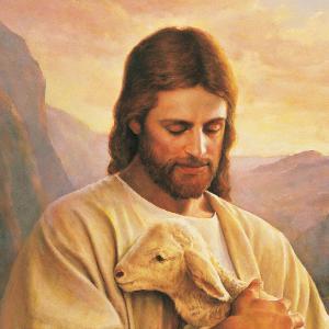 Through The Word, 1st Timothy 4 Through The Word, 1st Timothy 4