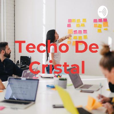Techo de cristal