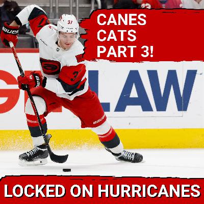 It's That Time, Again. It's Canes vs Cats Part 3 It's That Time, Again. It's Canes vs Cats Part 3
