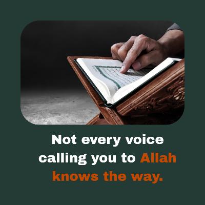 Everyone’s a Scholar Online — Who Do I Trust About Islam? - Light Upon Light by IslamiCity