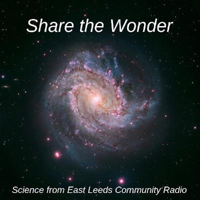 Share the Wonder #6: Numbers – Huge, Ancient & Modern