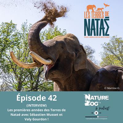 Épisode 42 (INTERVIEW) - Retour sur les premières années des Terres de Nataé avec Sébastien Musset et Valy Gourdon !