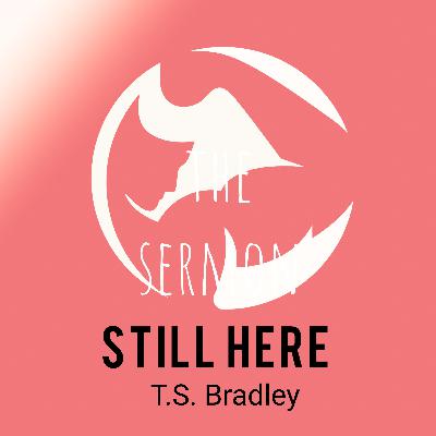 I'm Still Here I'm Still Here